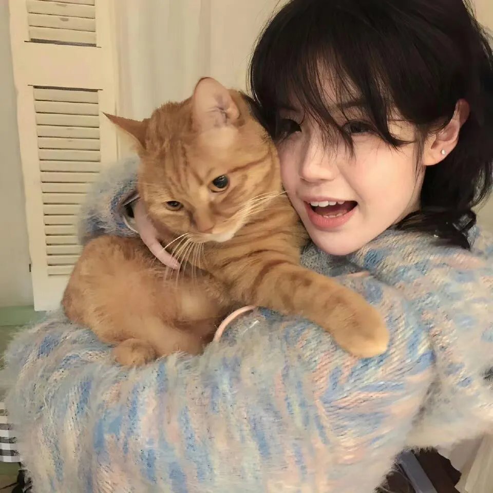 顾氏夫人马甲满天下